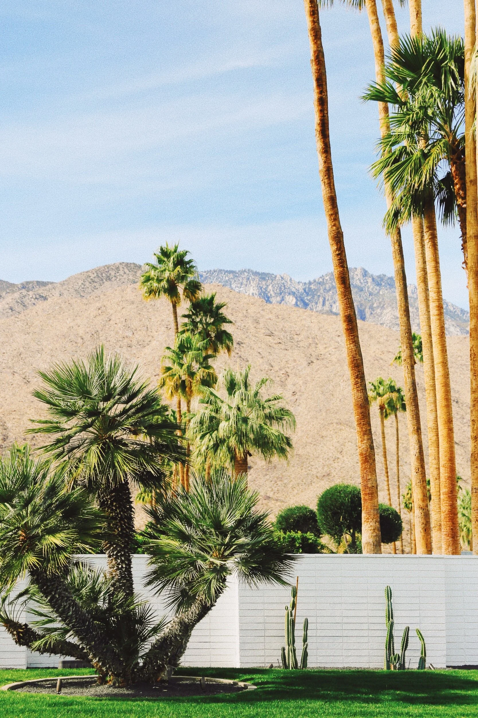 A Long Weekend Guide to Downtown Palm Springs