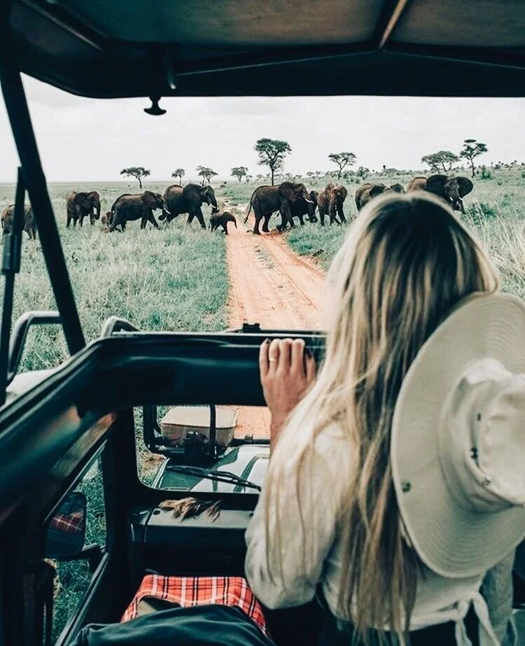 pinterest↠ erin madruga.jpeg