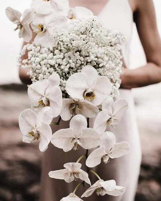 55 Elevated Ways to Use Baby's Breath in Weddings.jpeg