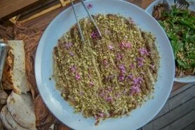 Ph©AdriánBarboza_ALB2037 .jpeg