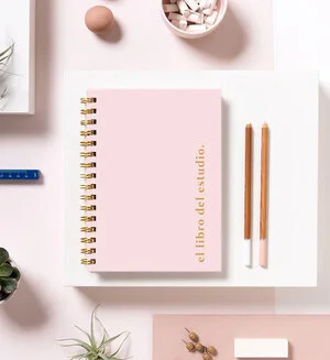 Cap 28 - "El libro del Estudio" . Con Clara Laborde