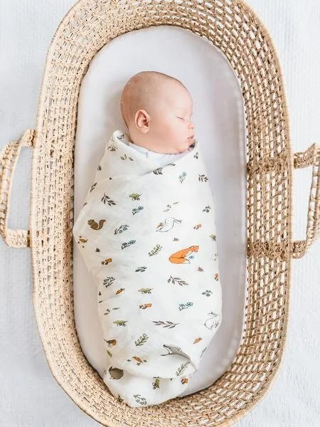 Cap 48 - Empezar por dormir con las hermanas Campiotti