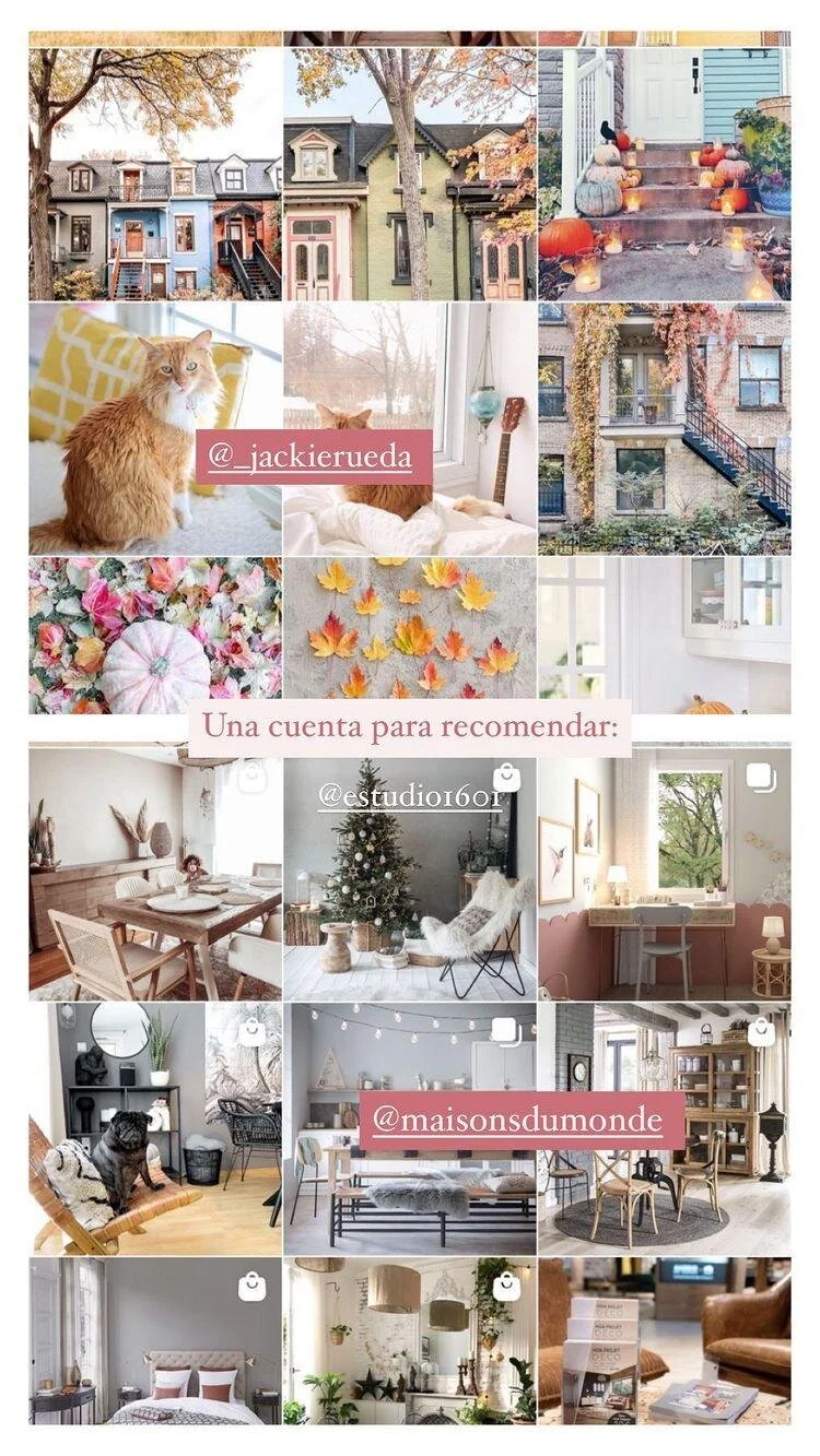 WhatsApp Image 2021-02-02 at 12.42.40 (1).jpeg