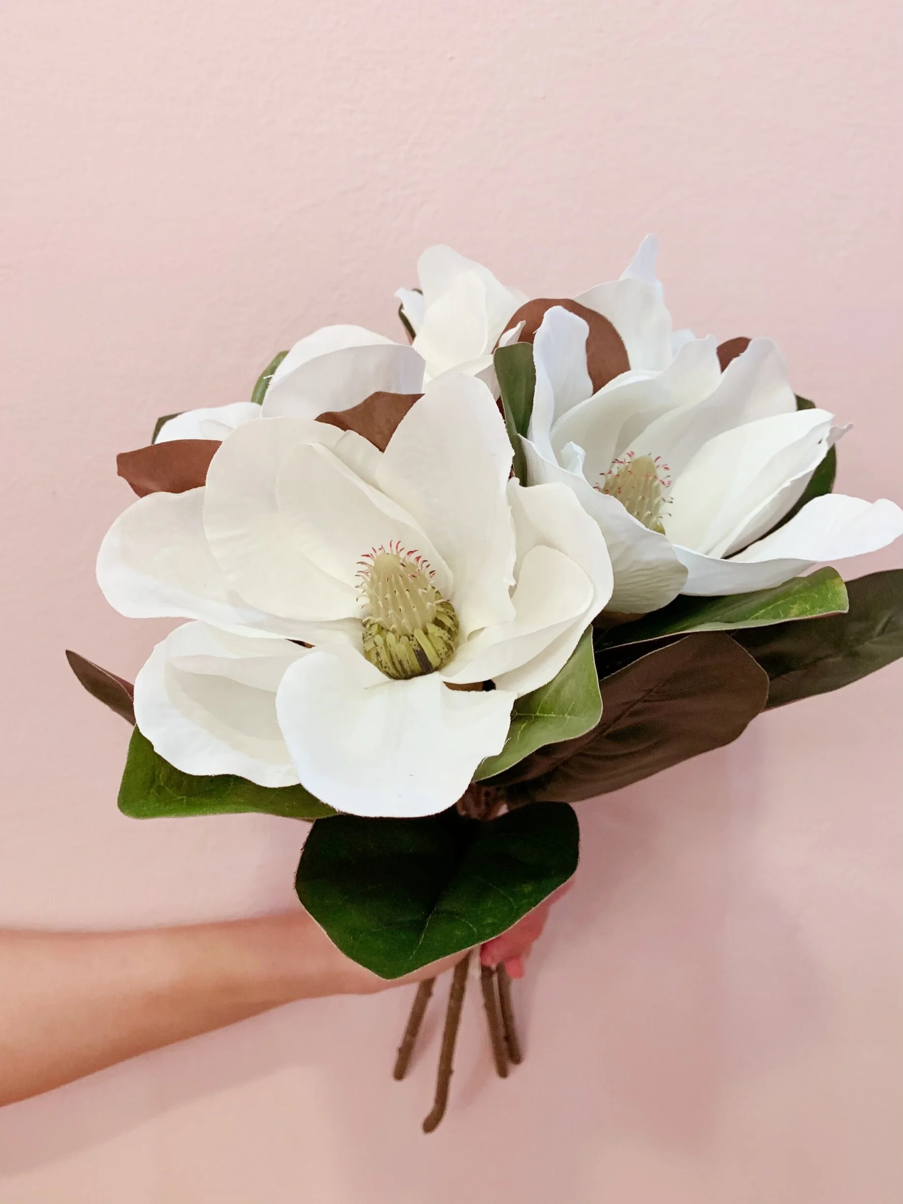 FE64C099-E59A-4A48-B175-7BA849D3EA04