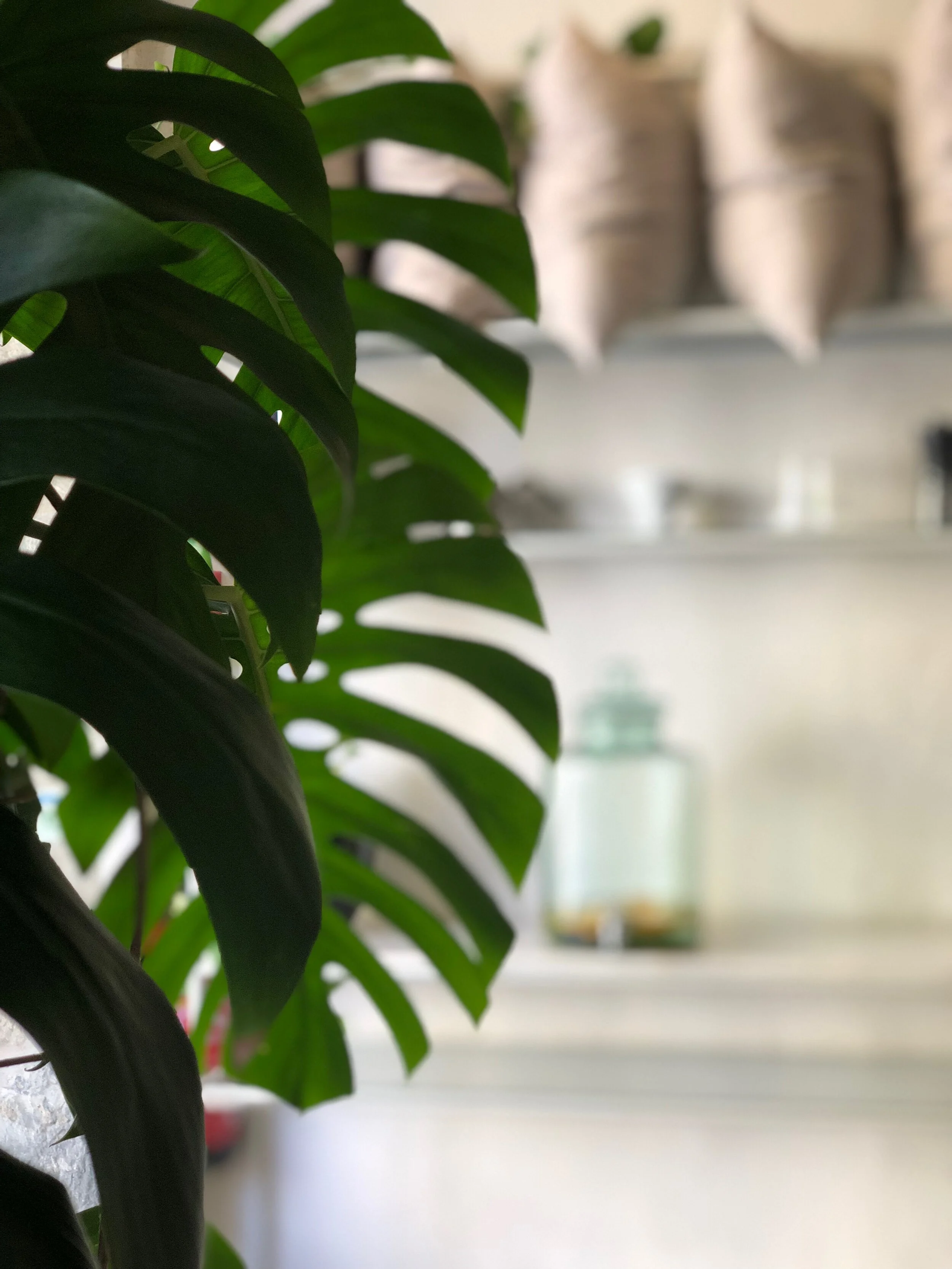 Teresa Sacramento 2.JPG