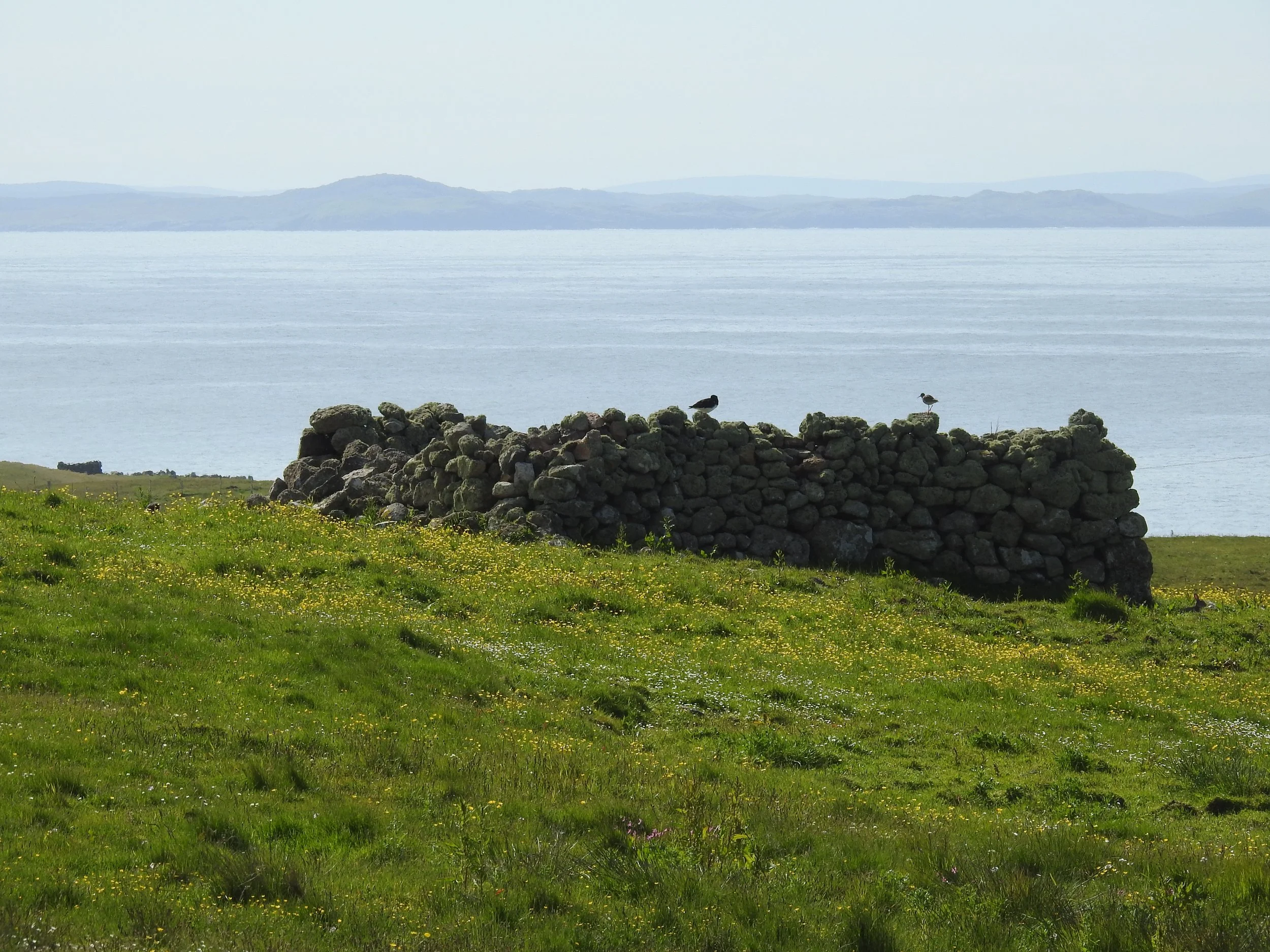 DSCN3272.JPG