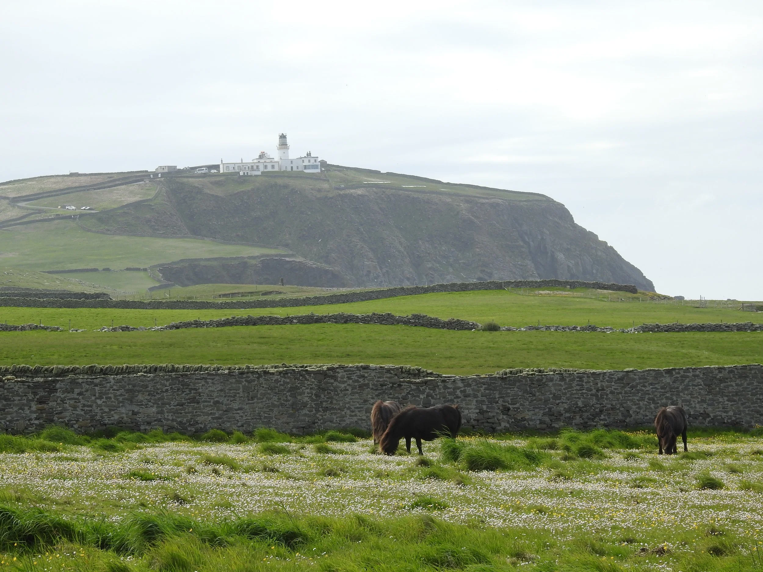 DSCN3056.JPG