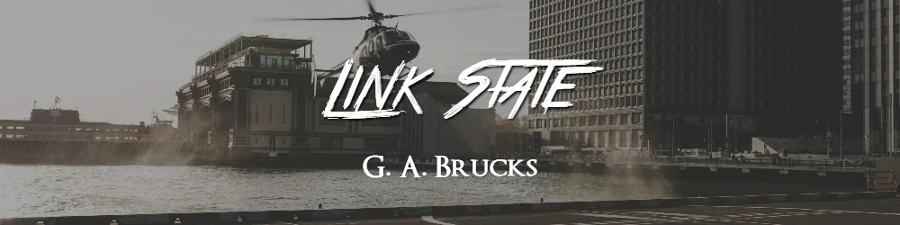 Link-State.jpg