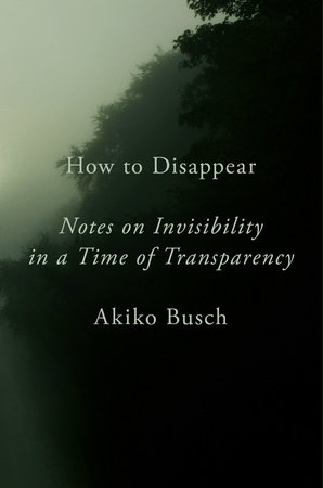 notes on invisibility.jpeg
