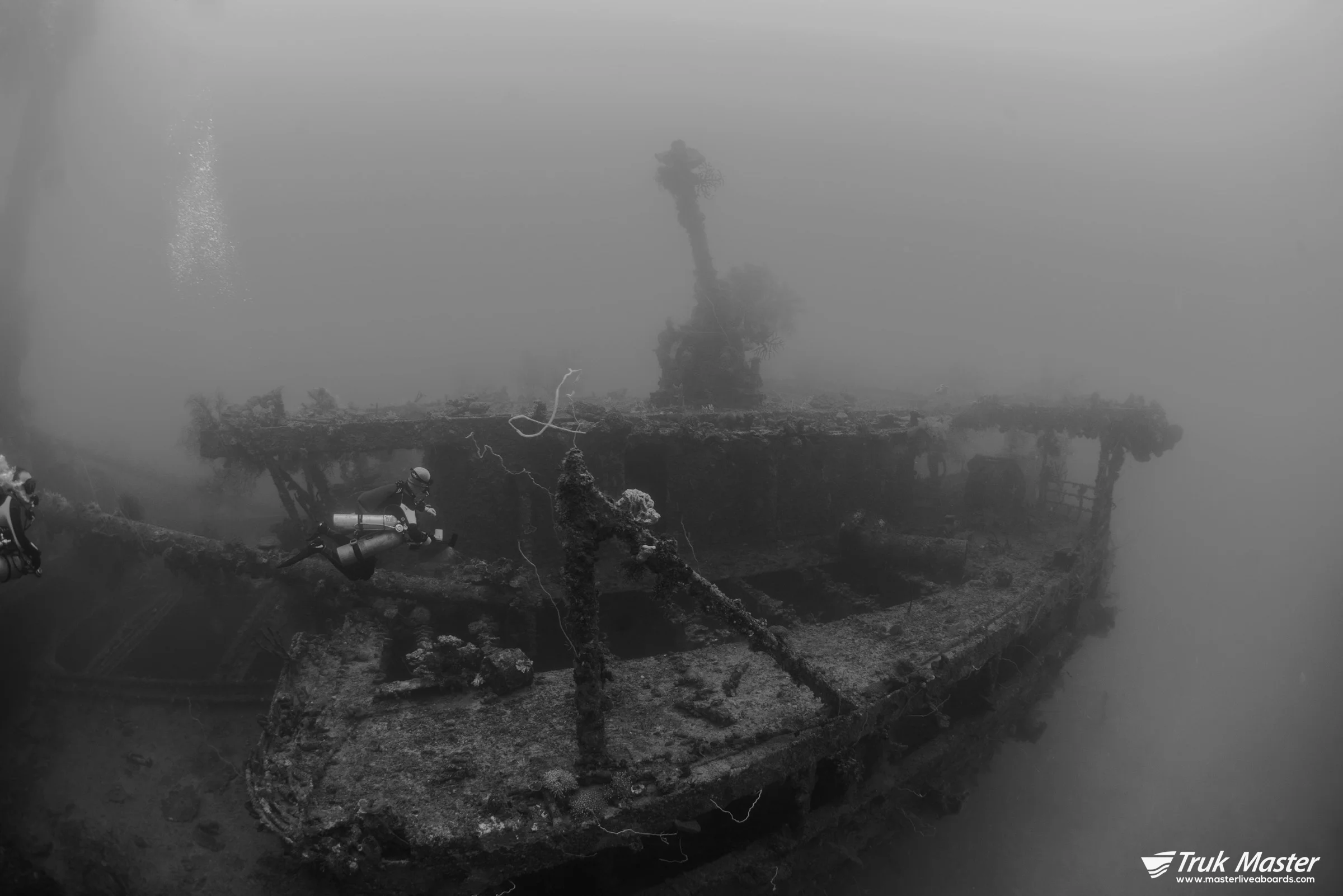 aikoku-stern-bw.jpg