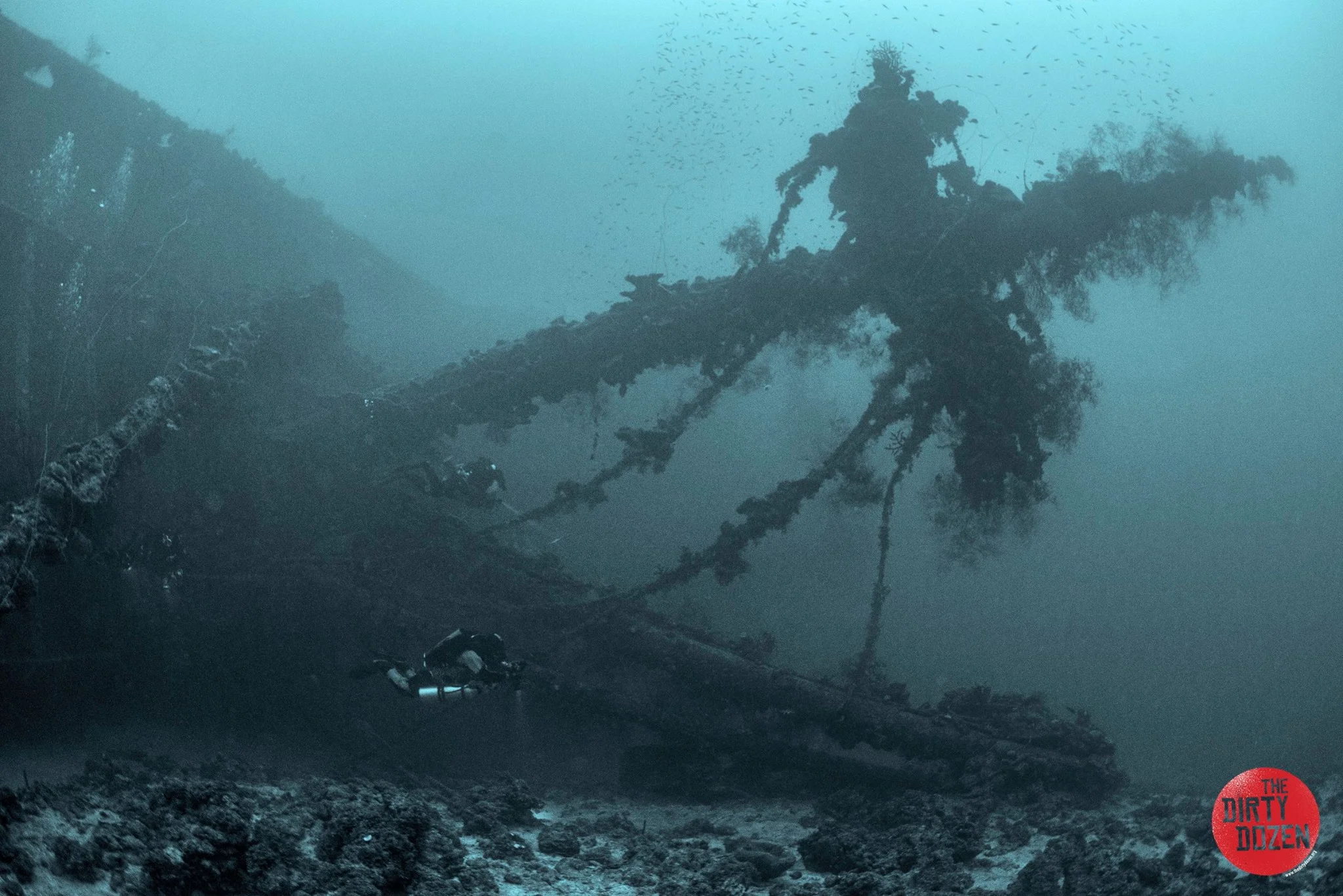 52Momokawa Maru Kingmast.jpg