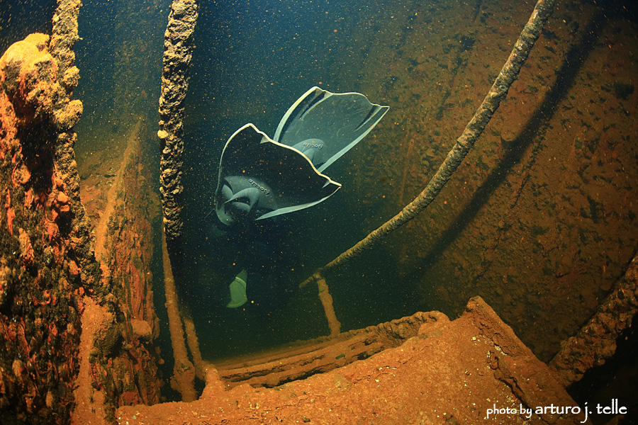 92Fujikawa Maru Fins.jpg