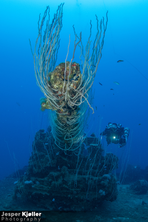 81USS Lamson Diver and Turret.jpg