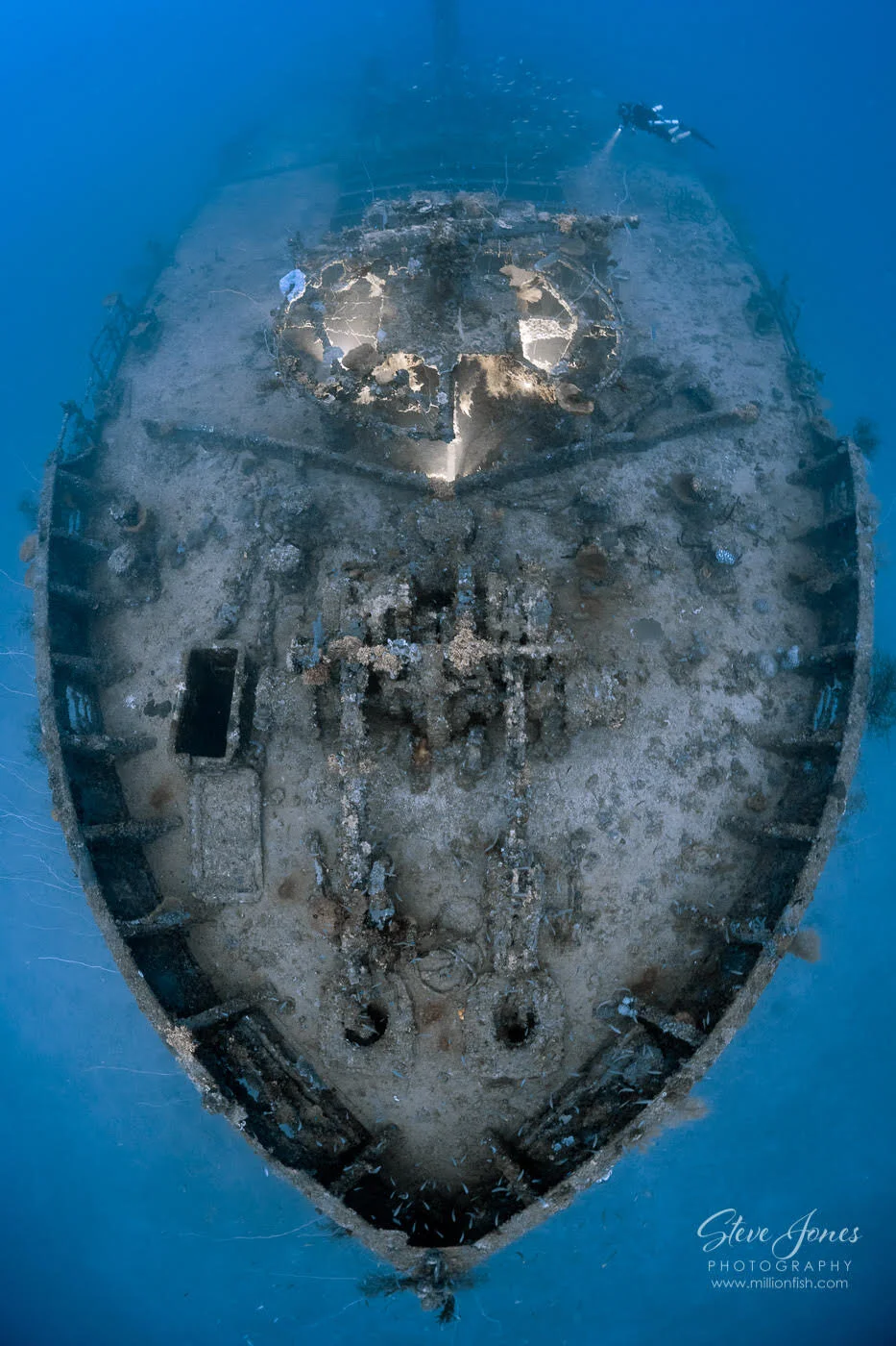 🐣Happy Easter from The Dirty Dozen Expeditions