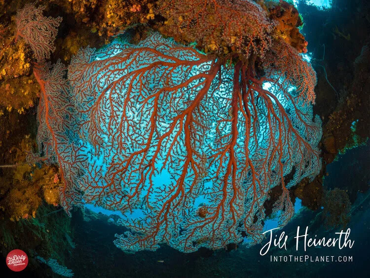 🔥2025 Expedition Dates Are LIVE