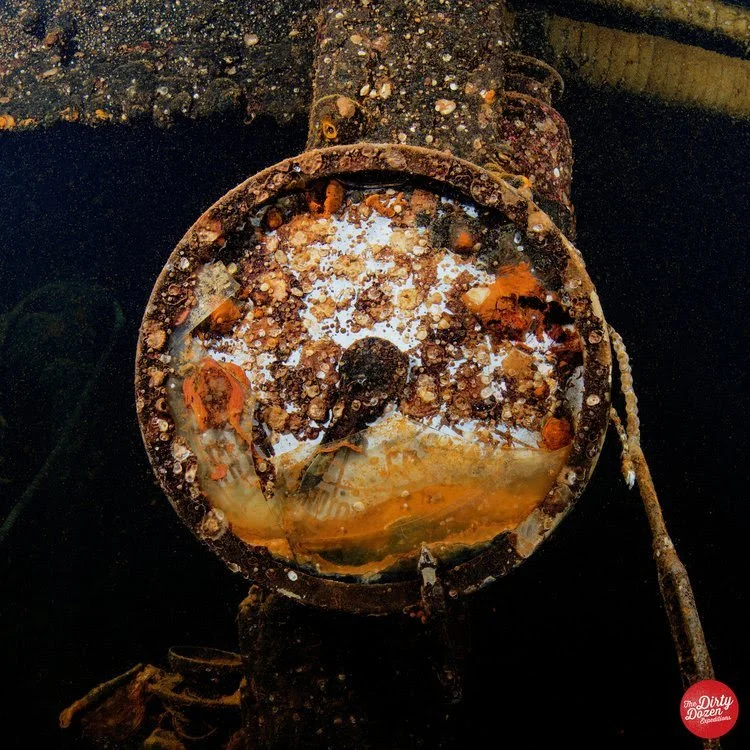 ⏱Palau in 3 weeks, Updated Availability and Knowledge Base 📚