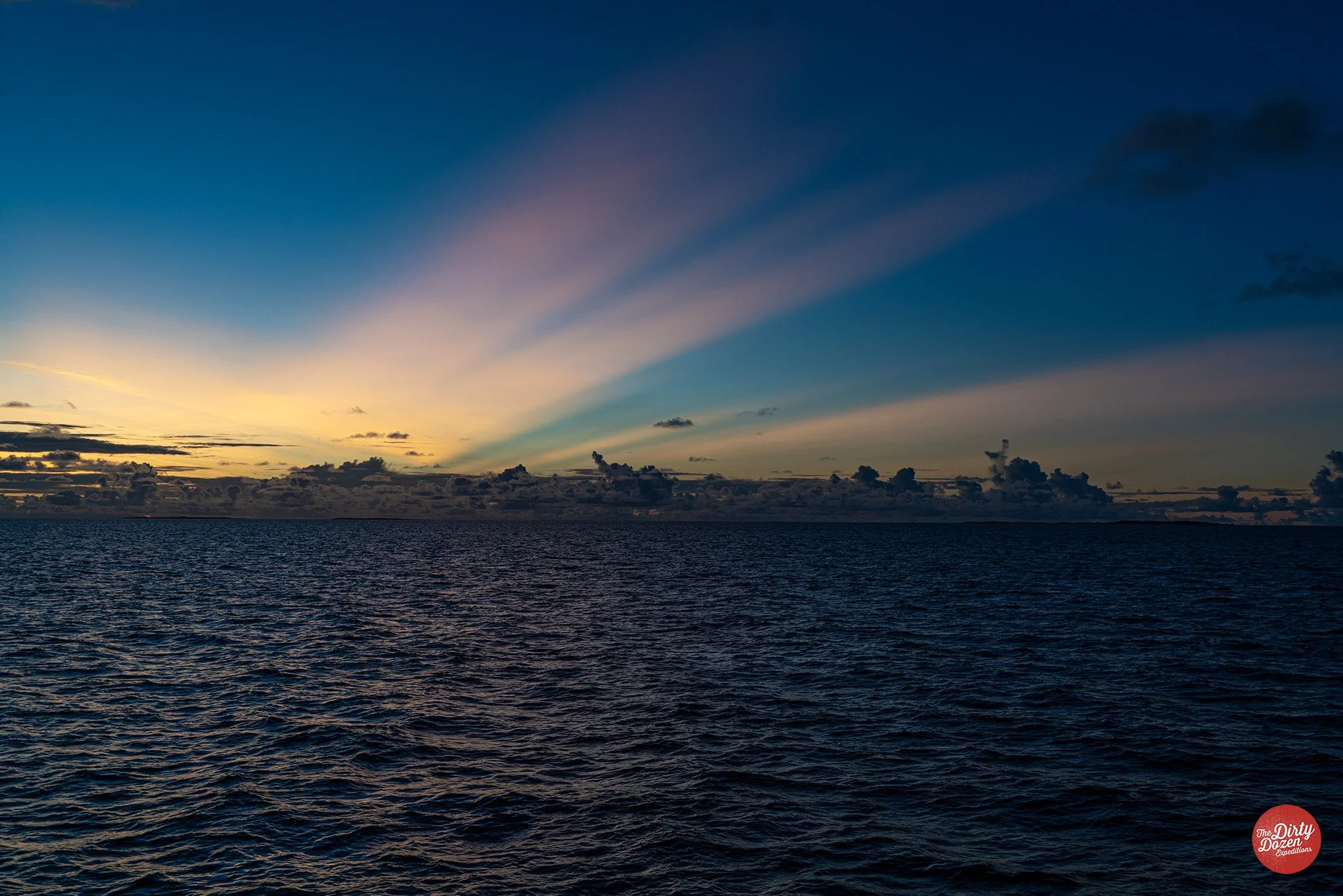 Don’t miss out on last-minute availability