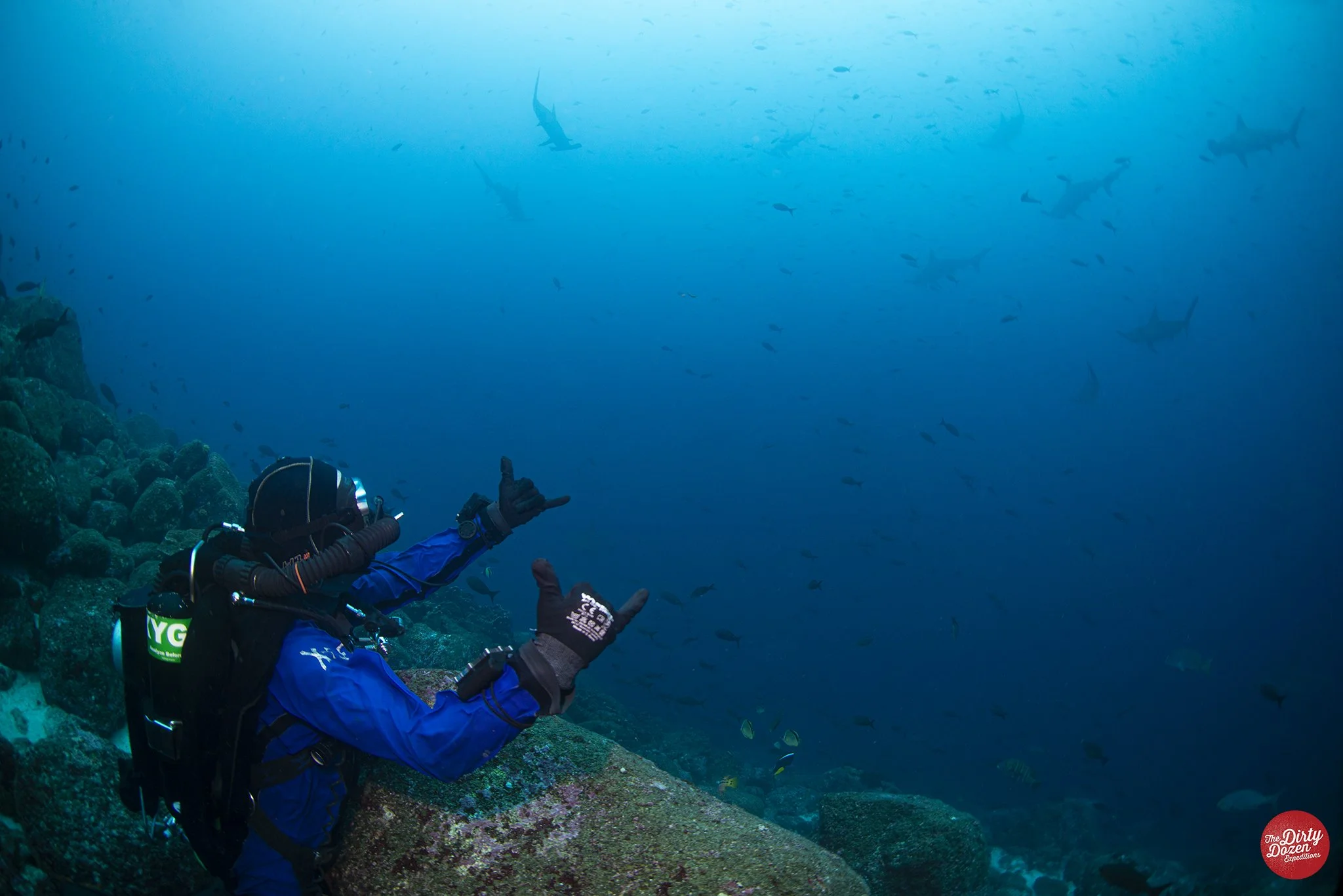 👉 March Madness: Last-Minute 2026 Expedition Spots