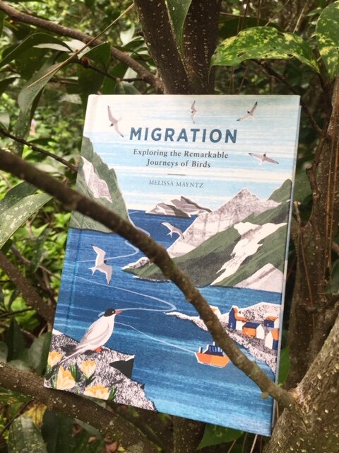 migration book.JPG