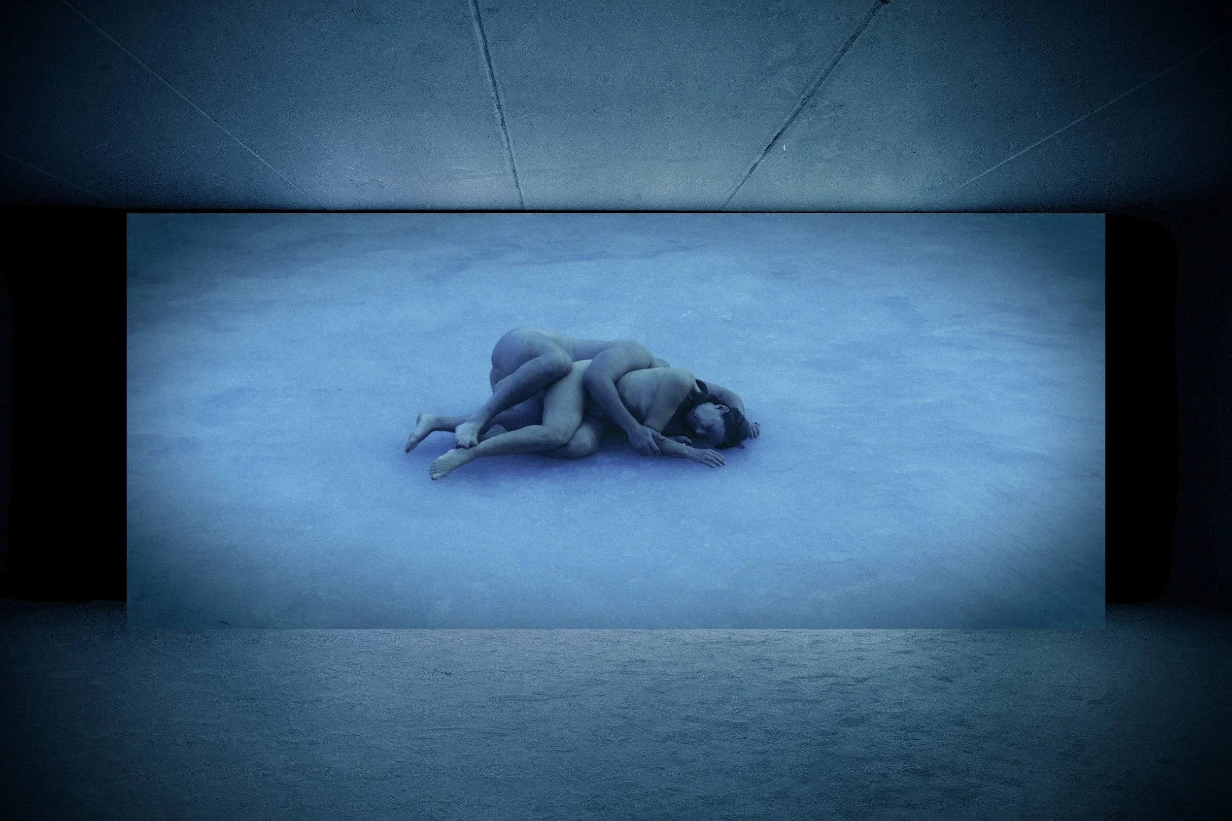 mother & son - sphinx - installation