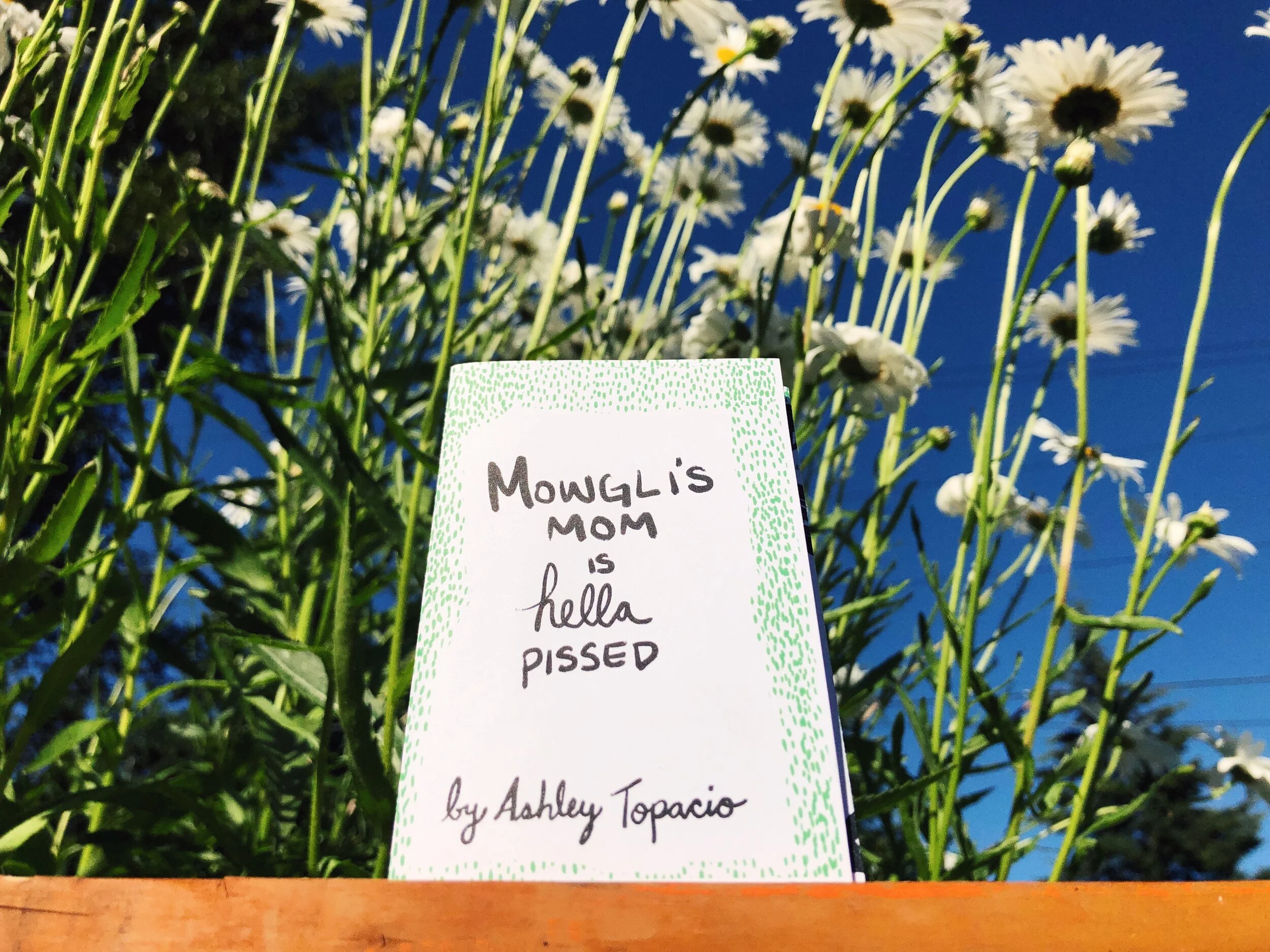 F23AE5FB-06C0-4A3F-8922-0E73C3CCFB97