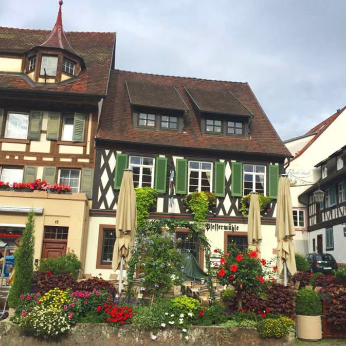Travel_Testimonials_Rhine_River_Cruise_Cottage.jpg