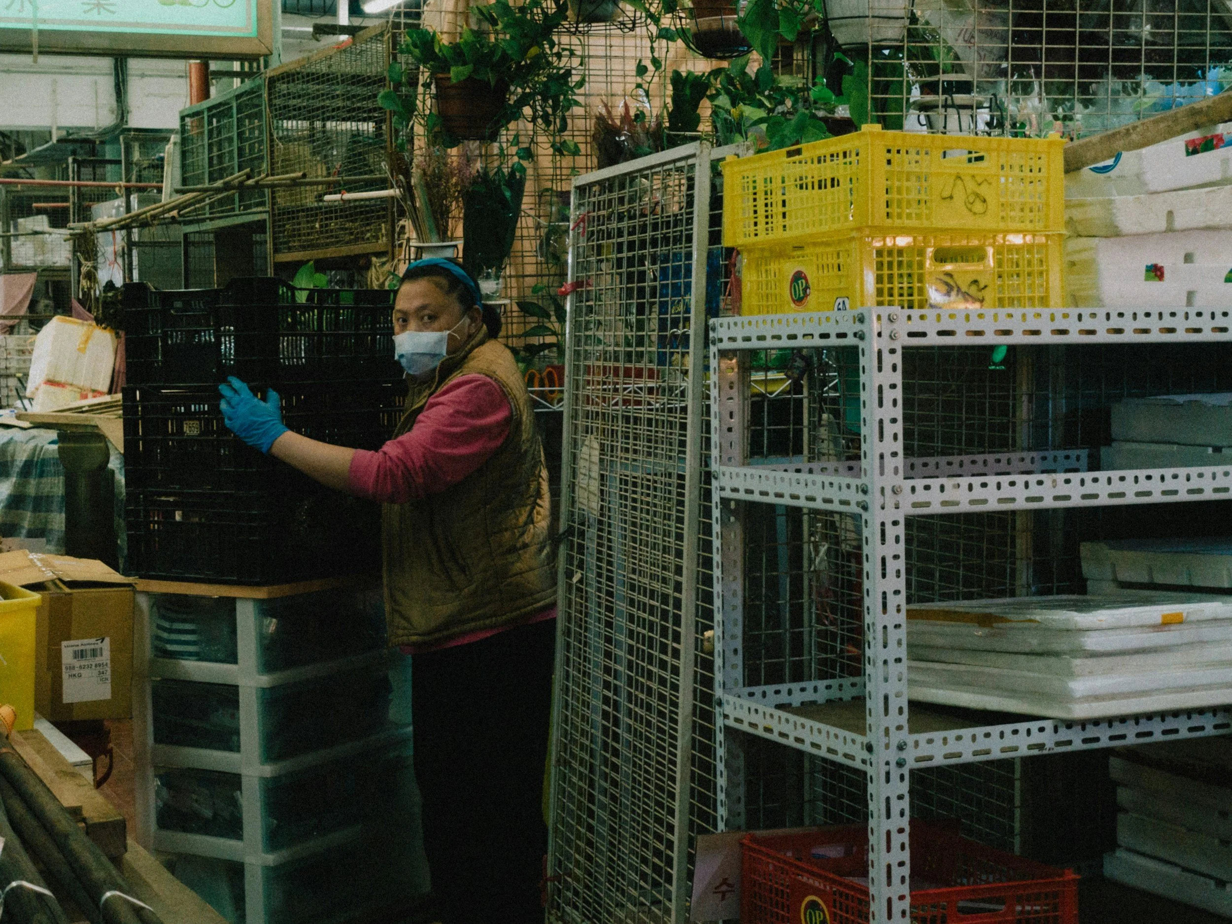 Workplace Health and Safety