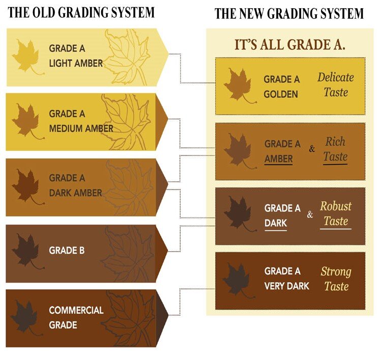 maple-syrup-new-grading-system-web.jpg