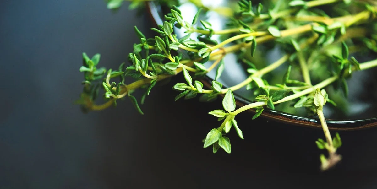 thyme-rawpixel.jpg