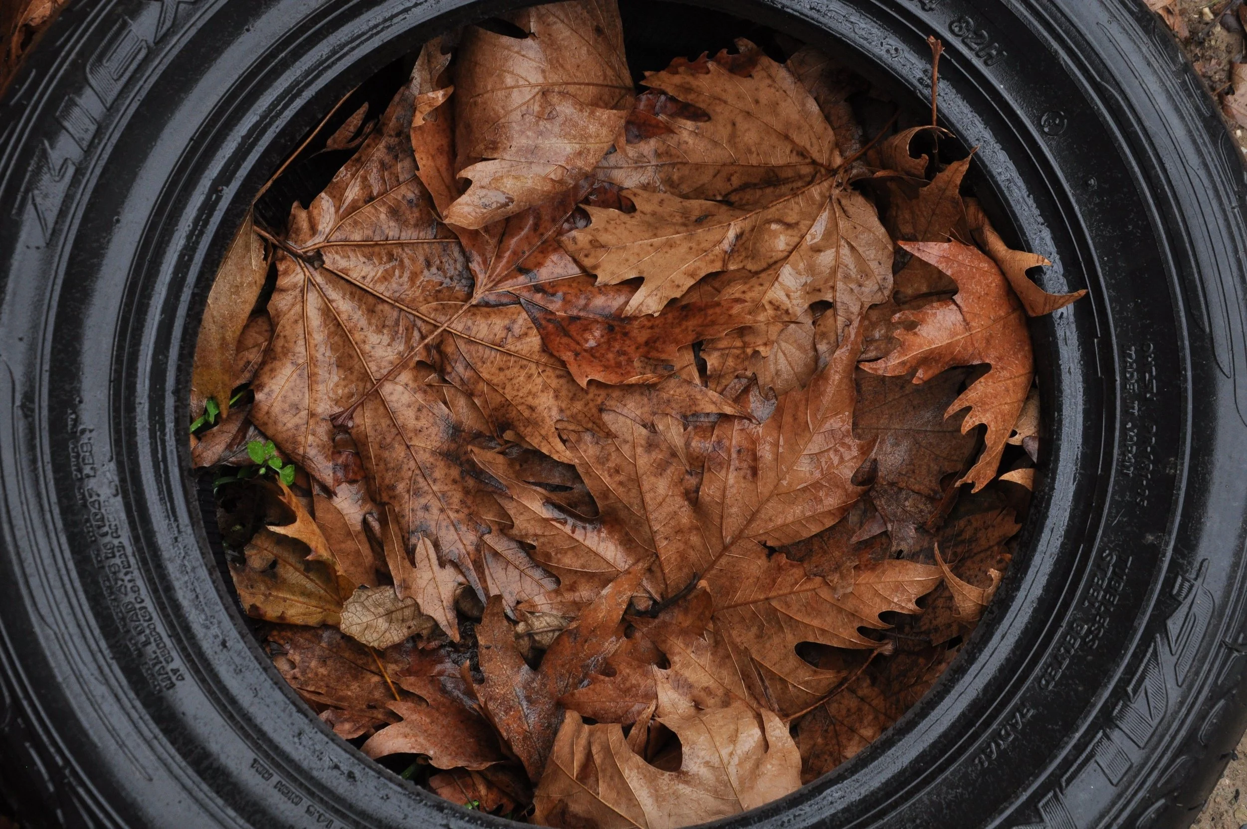 Before the Temperature Drops: Fall Tire Prep for Commercial Fleets