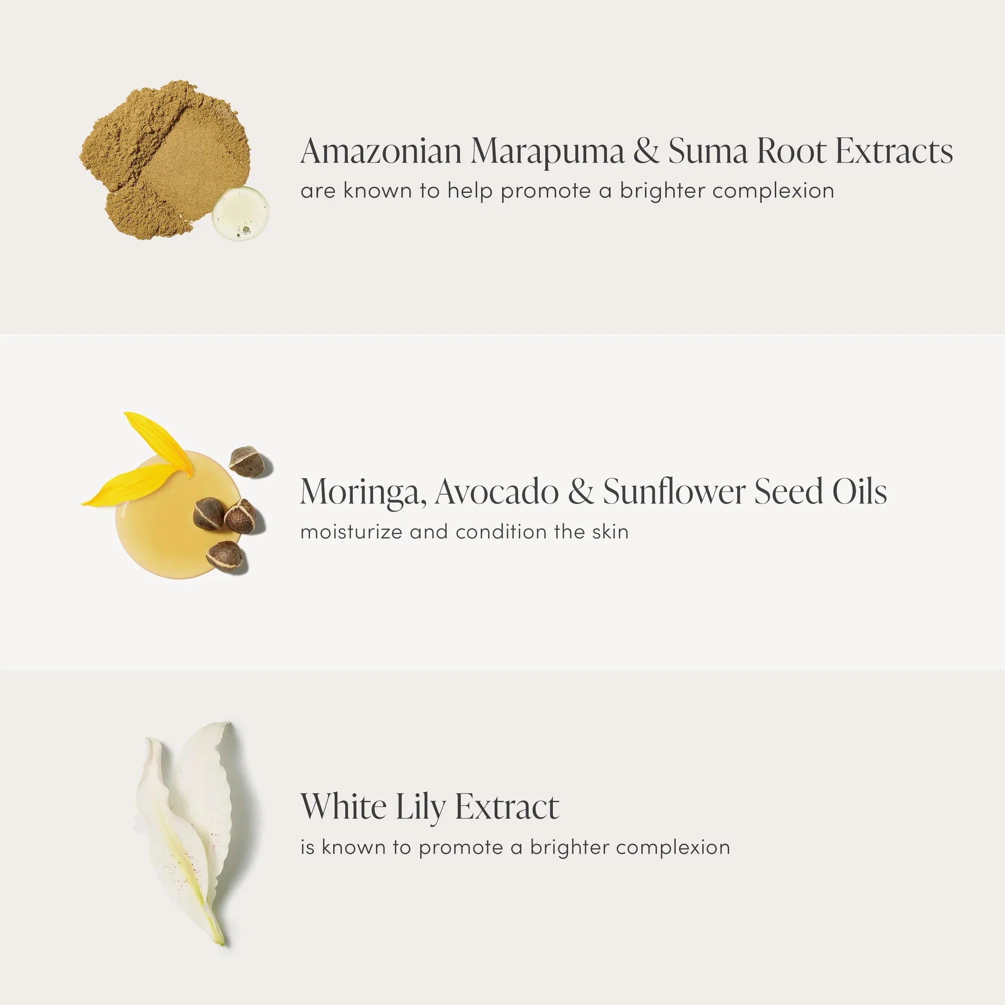Enlighten_ingredient-infographic_F_2000x.webp
