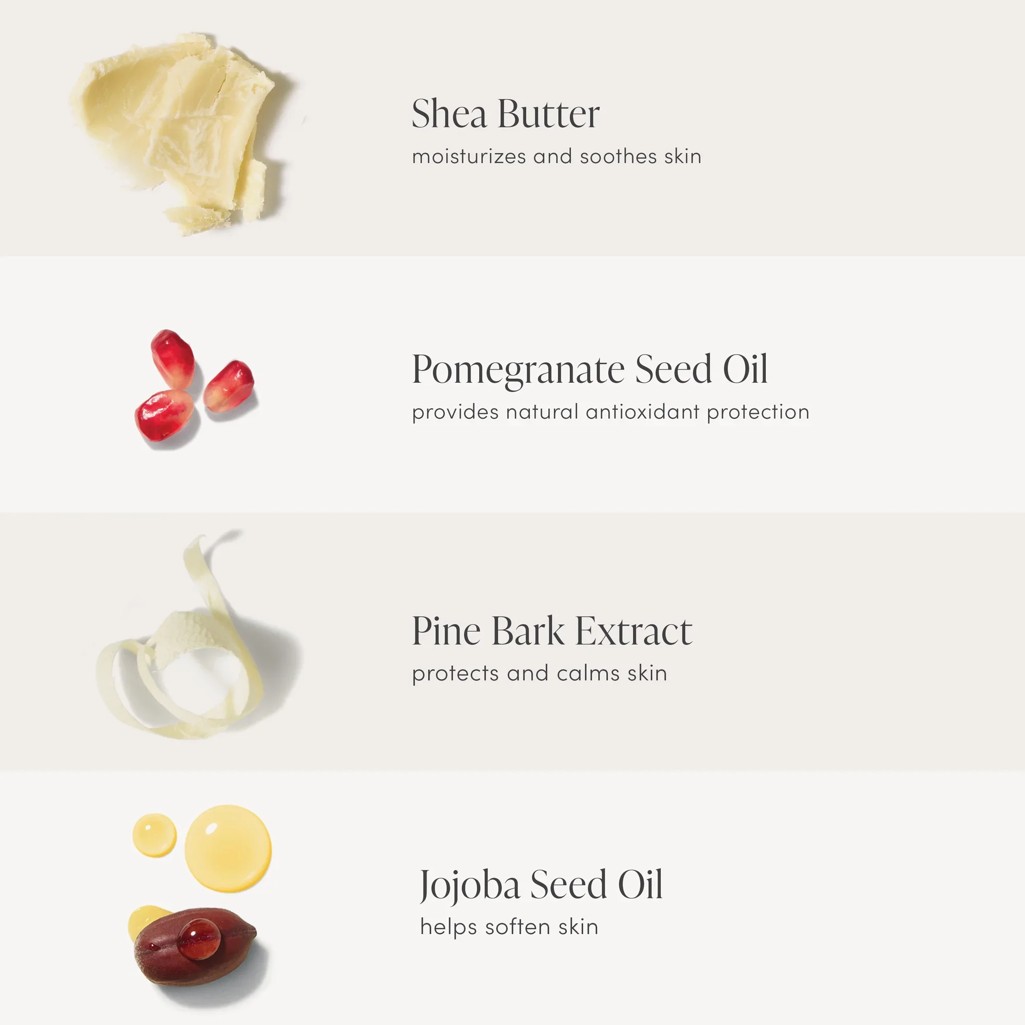 ppblush_Ingredientsingredient-infographic-copy_1_2000x.webp