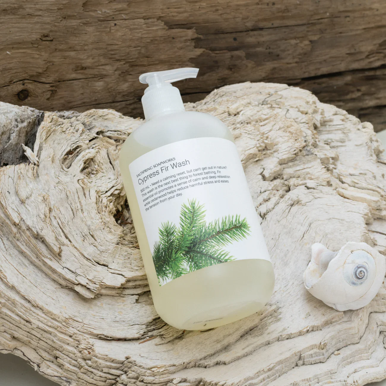 cypress fir.jpg.webp