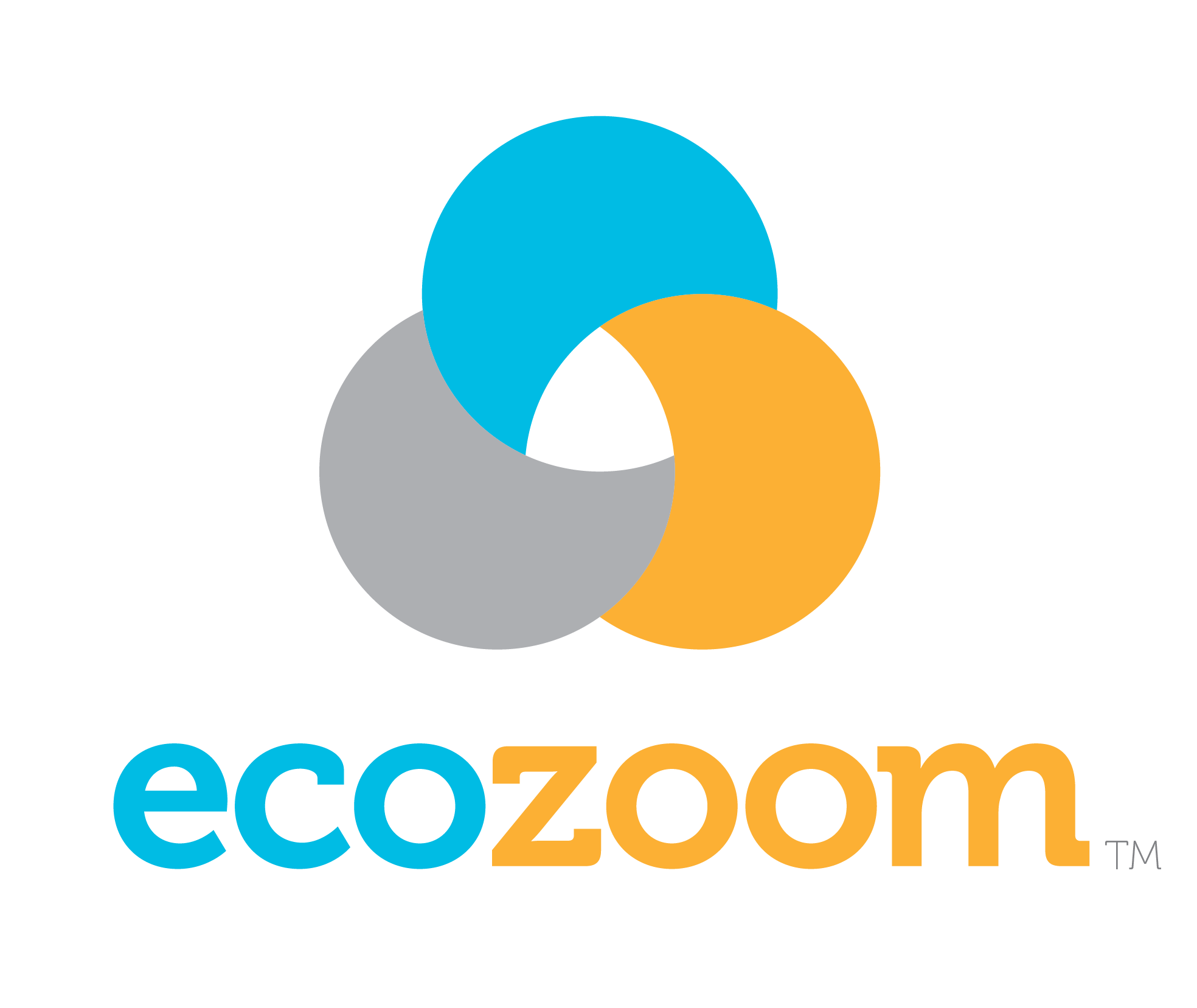 EcoZoom East Africa