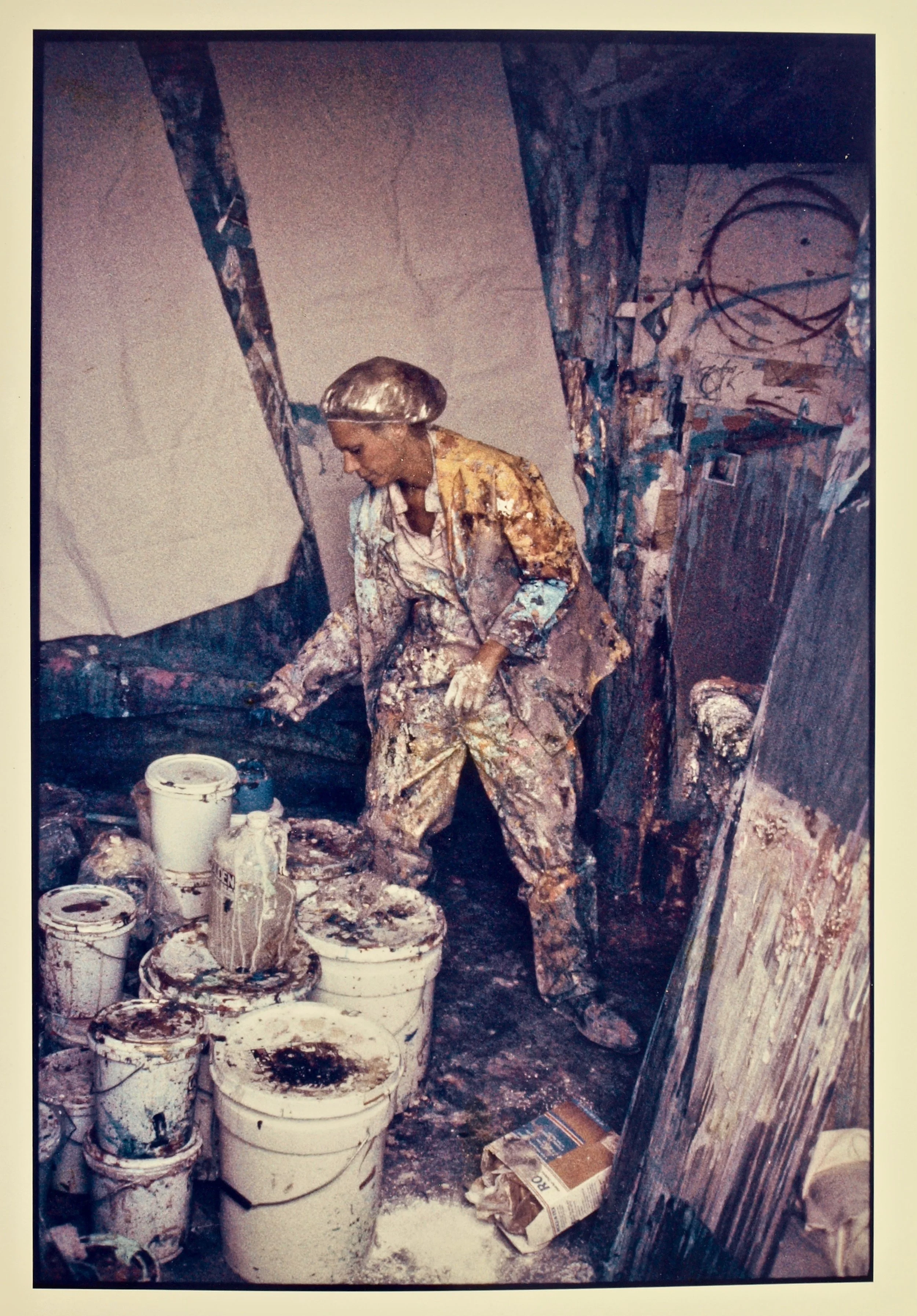 Francine Tint 3 copy.jpeg