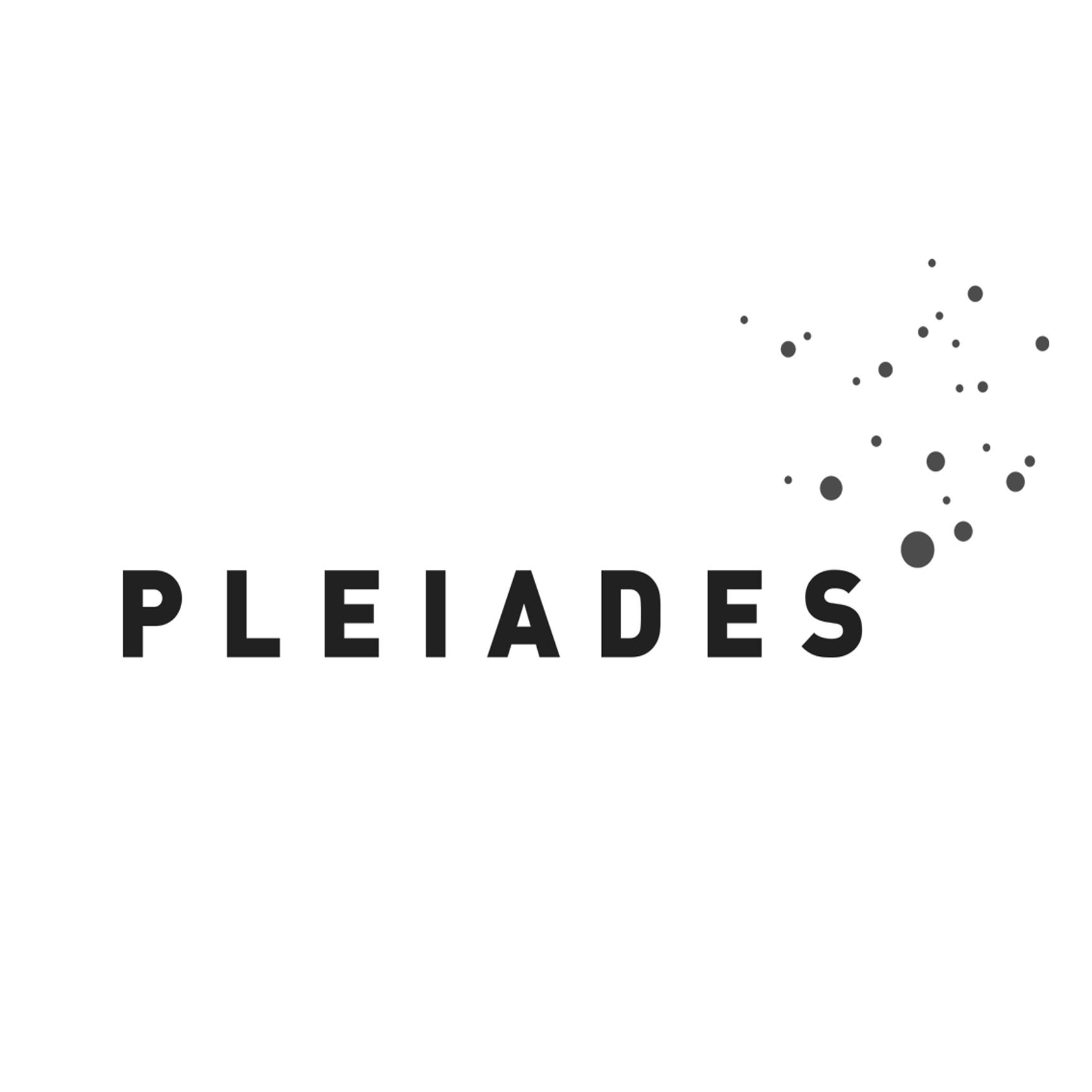 PleiadesLogo_trans_NoTag_960_bwx.png