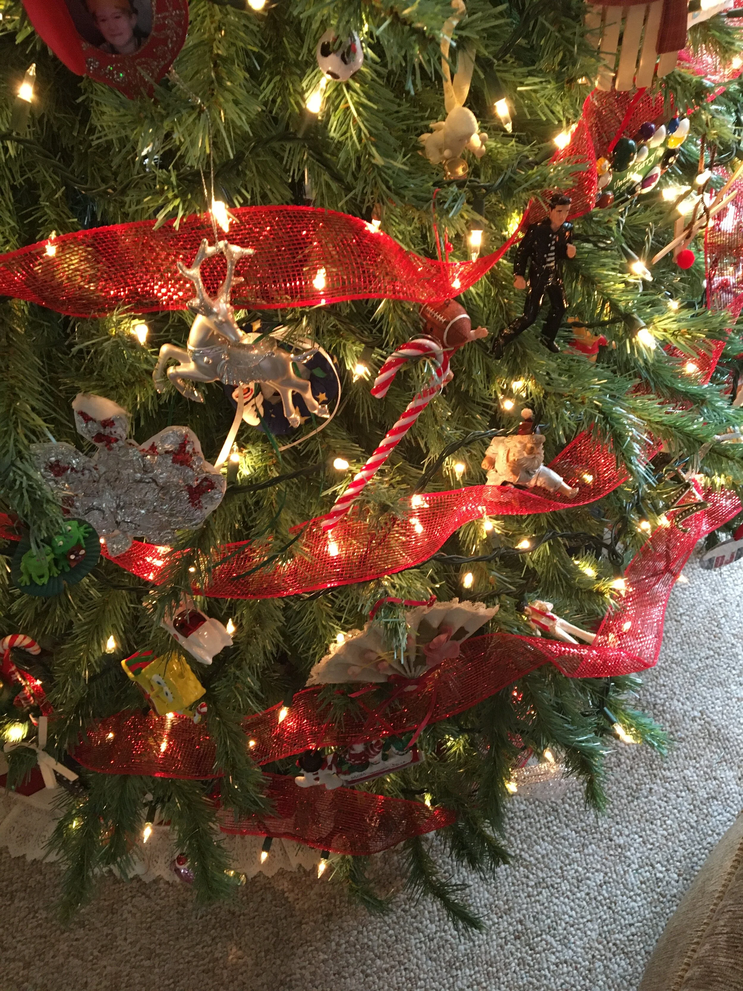 Candy Canes at Christmas!