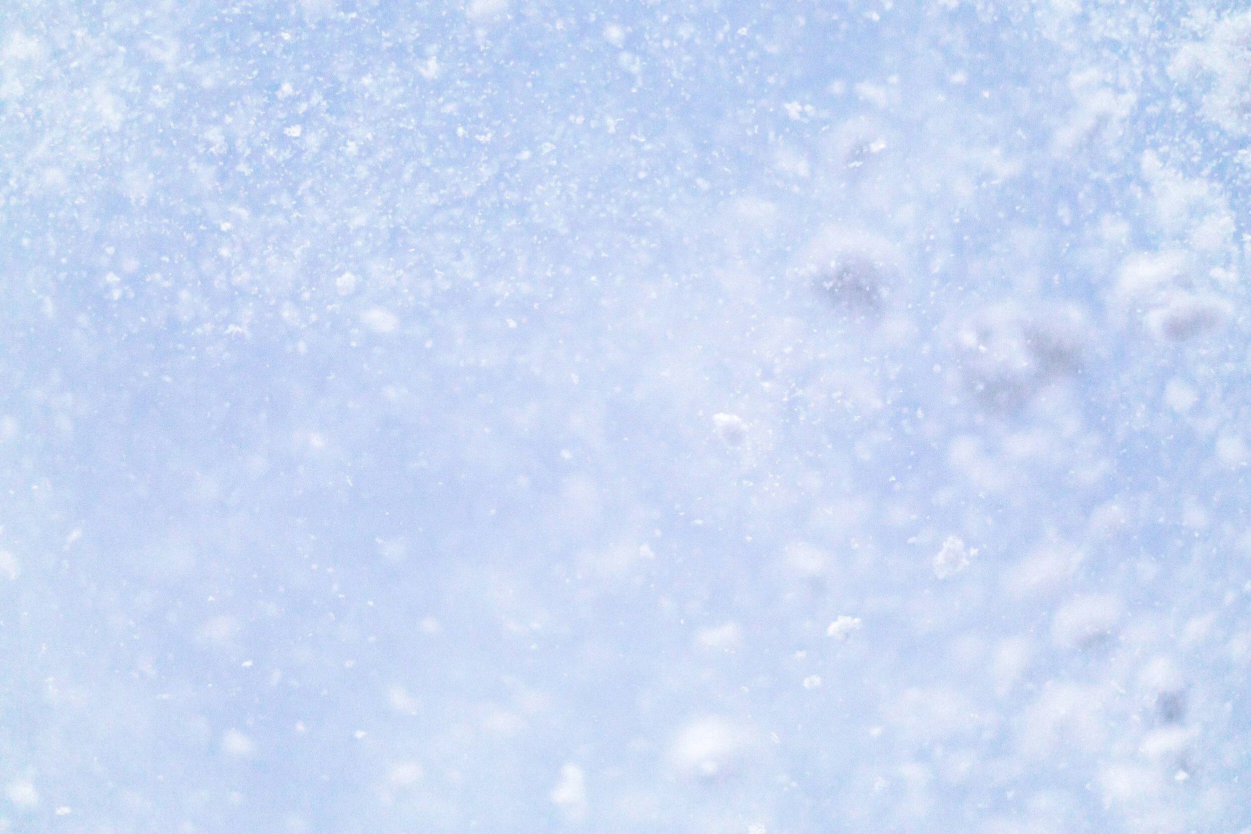 snow scene background.jpg
