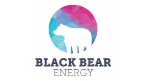 Black Bear Energy - Realized, IT Services