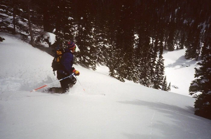 Good Judgement Comes from Experience; Experience Comes from Bad Judgement