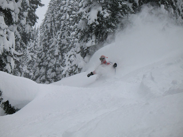 The Competence Hierarchy