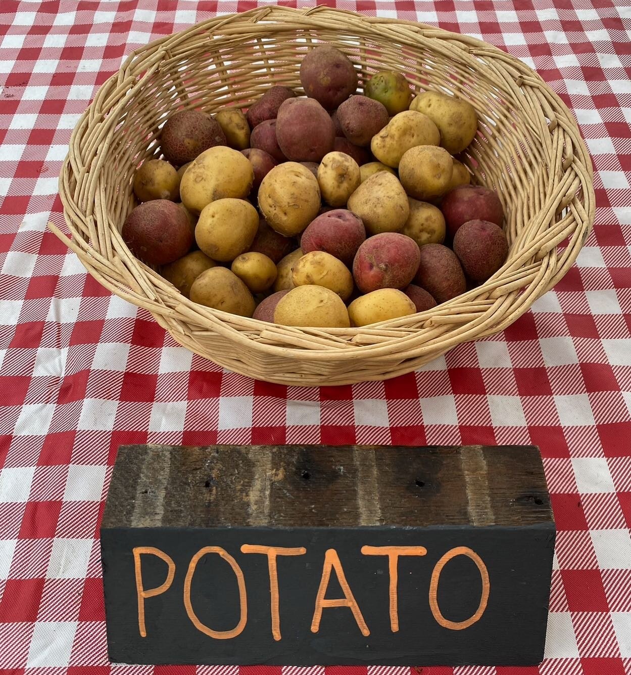 For our 9/23 market we will be featuring:
Ground cherries, corn, shallots, tomatoes, white and purple eggplant, cucumbers, sweet &amp; hot peppers, beets, kale, chard, green beans,  potatoes, sweet potatoes, garlic and honey, 
9:00AM - 1:00 PM 
3257 