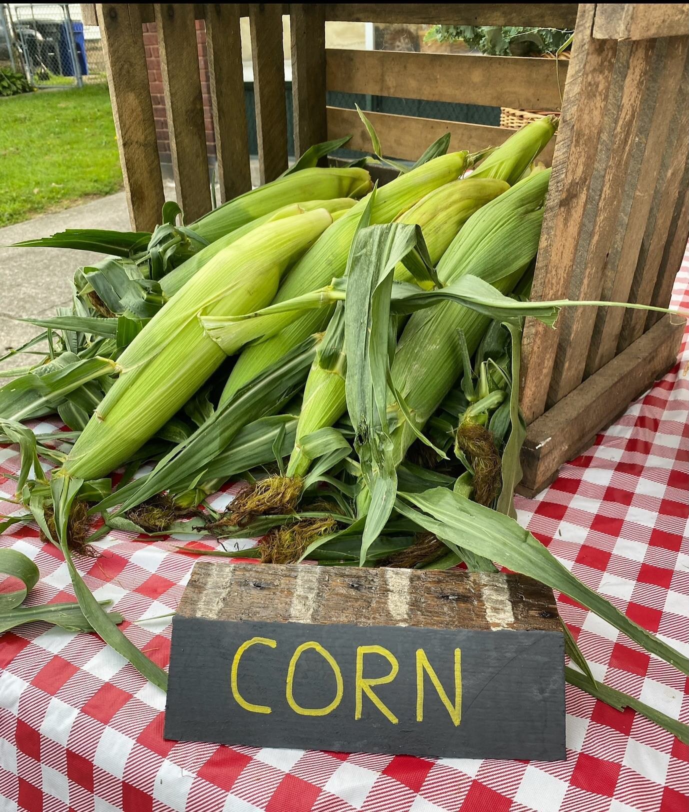 Tomorrow, tomorrow! 
For our 9/30 market we will be featuring:
Carrots, ground cherries, corn, shallots, tomatoes,  eggplant, cucumbers, sweet &amp; hot peppers, beets, kale, chard, potatoes, sweet potatoes, garlic and honey. 
9:00AM - 1:00 PM 
3257 