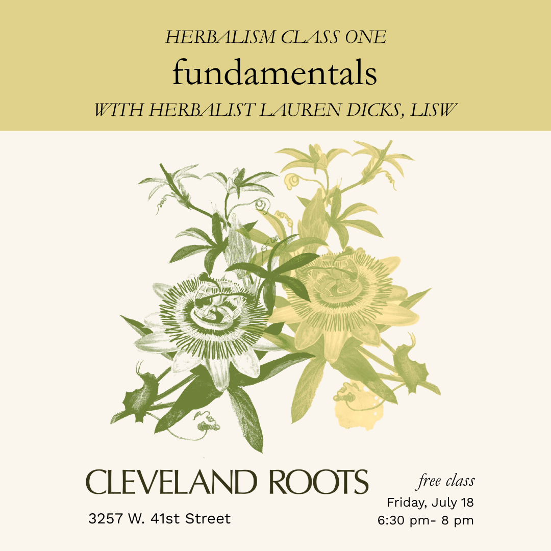 herbalism fundamentals