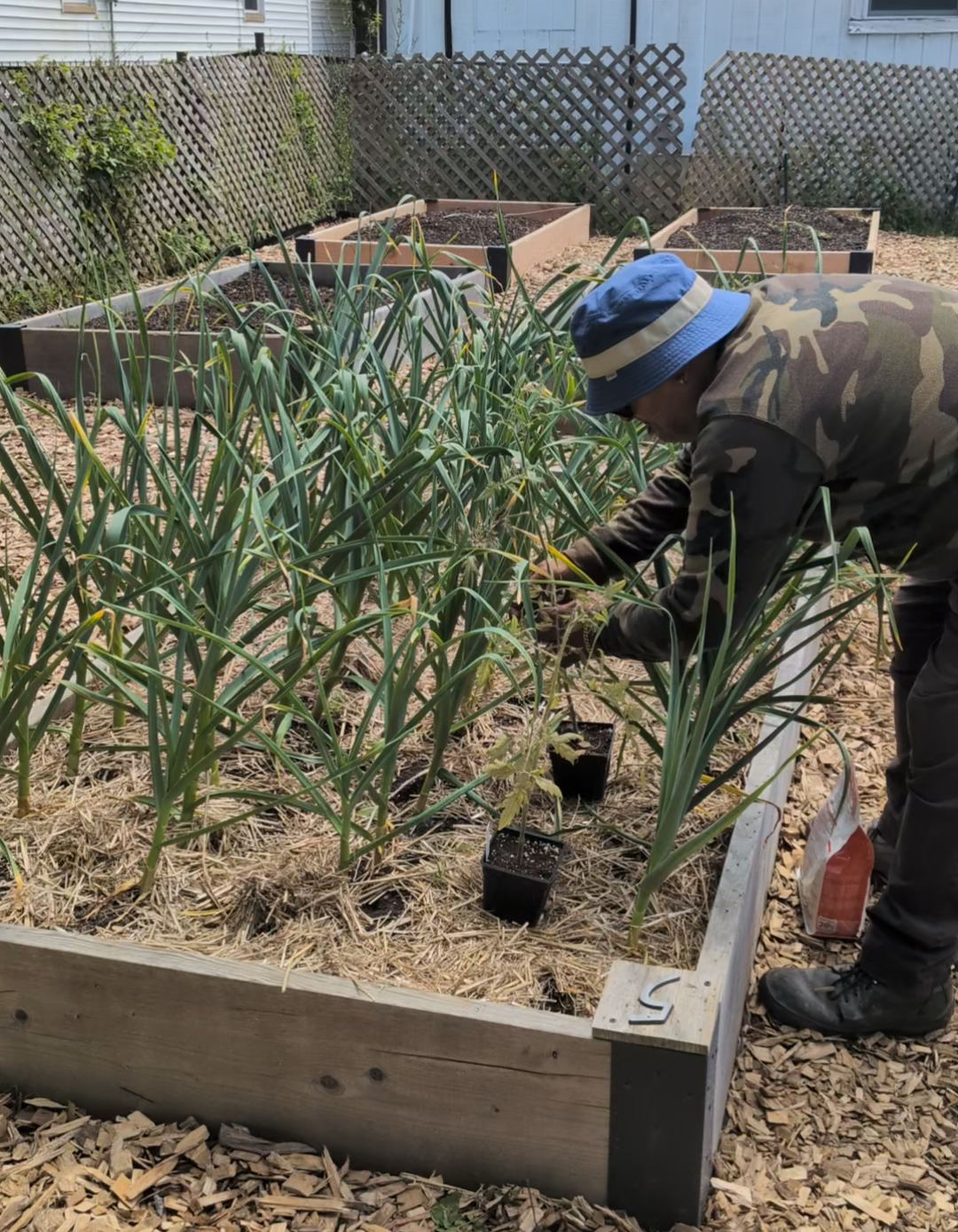 Fall Planting For a Spring Harvest
