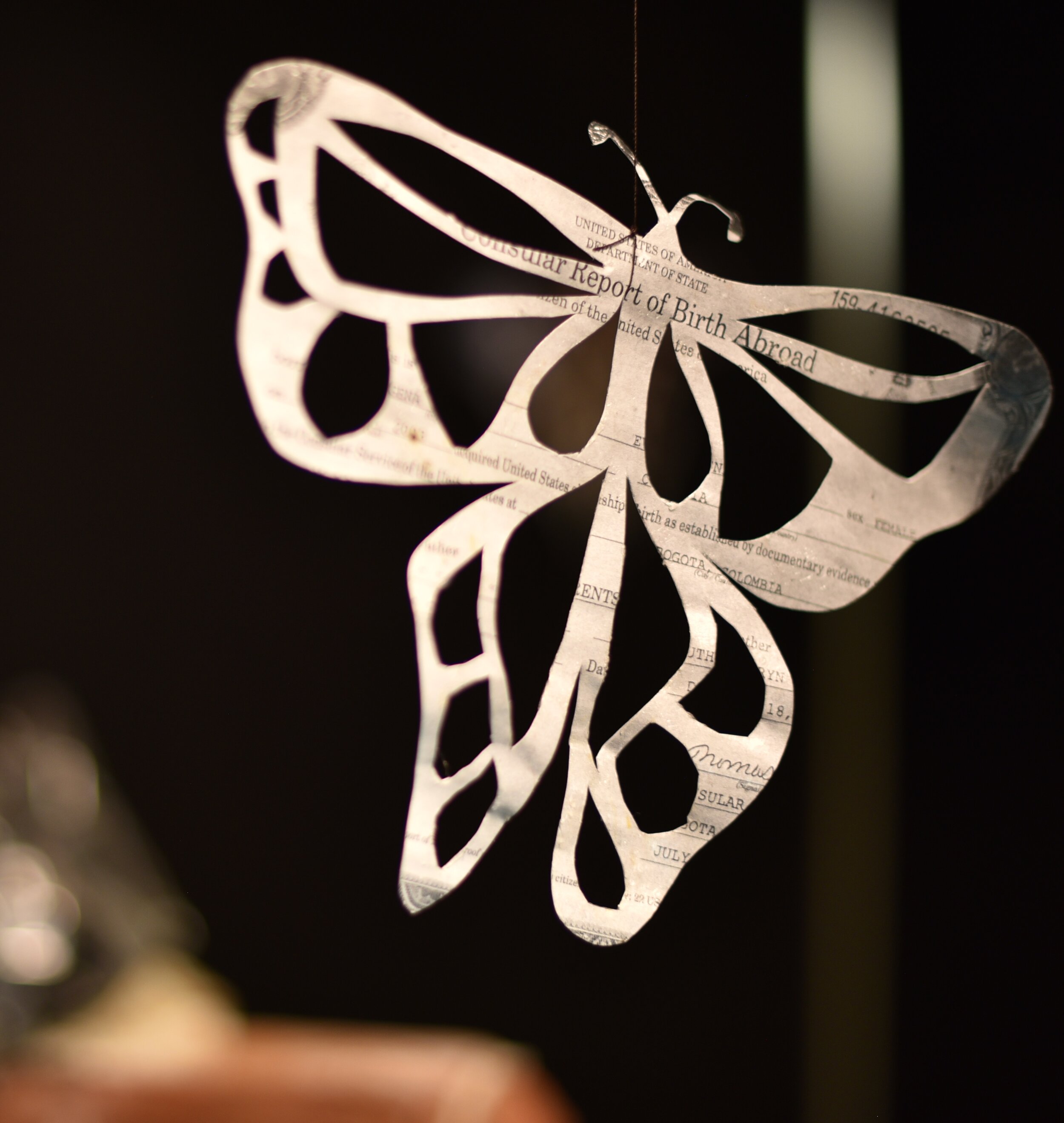 Paper Butterfly 2.jpg