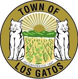 los gatos.jpg