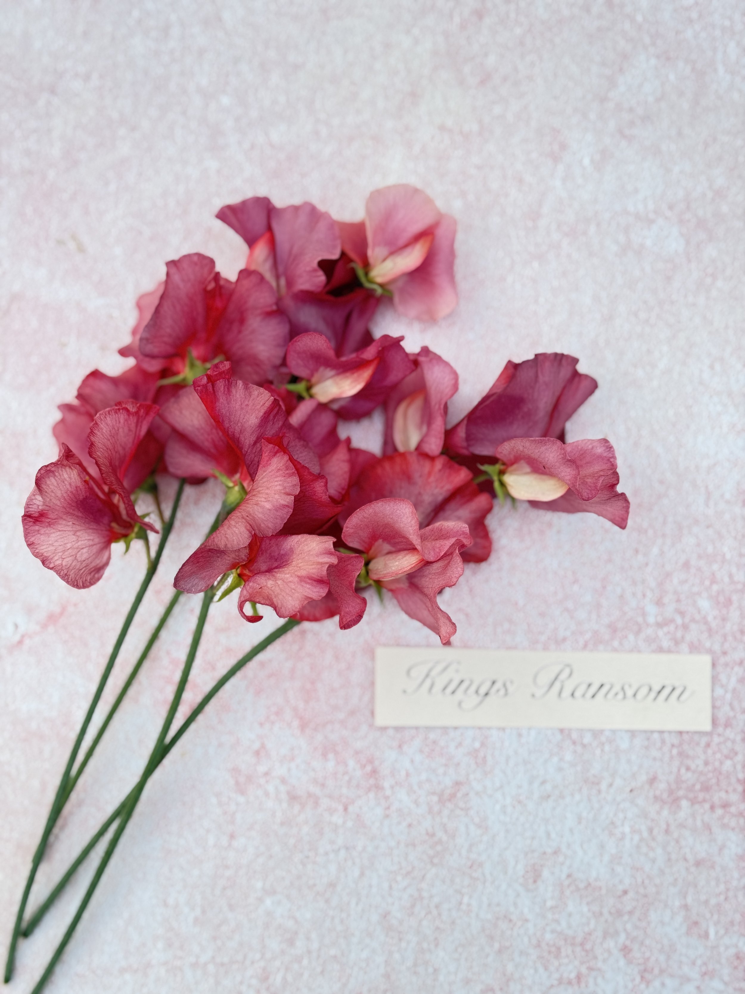 Kings Ransom LIMIT 2