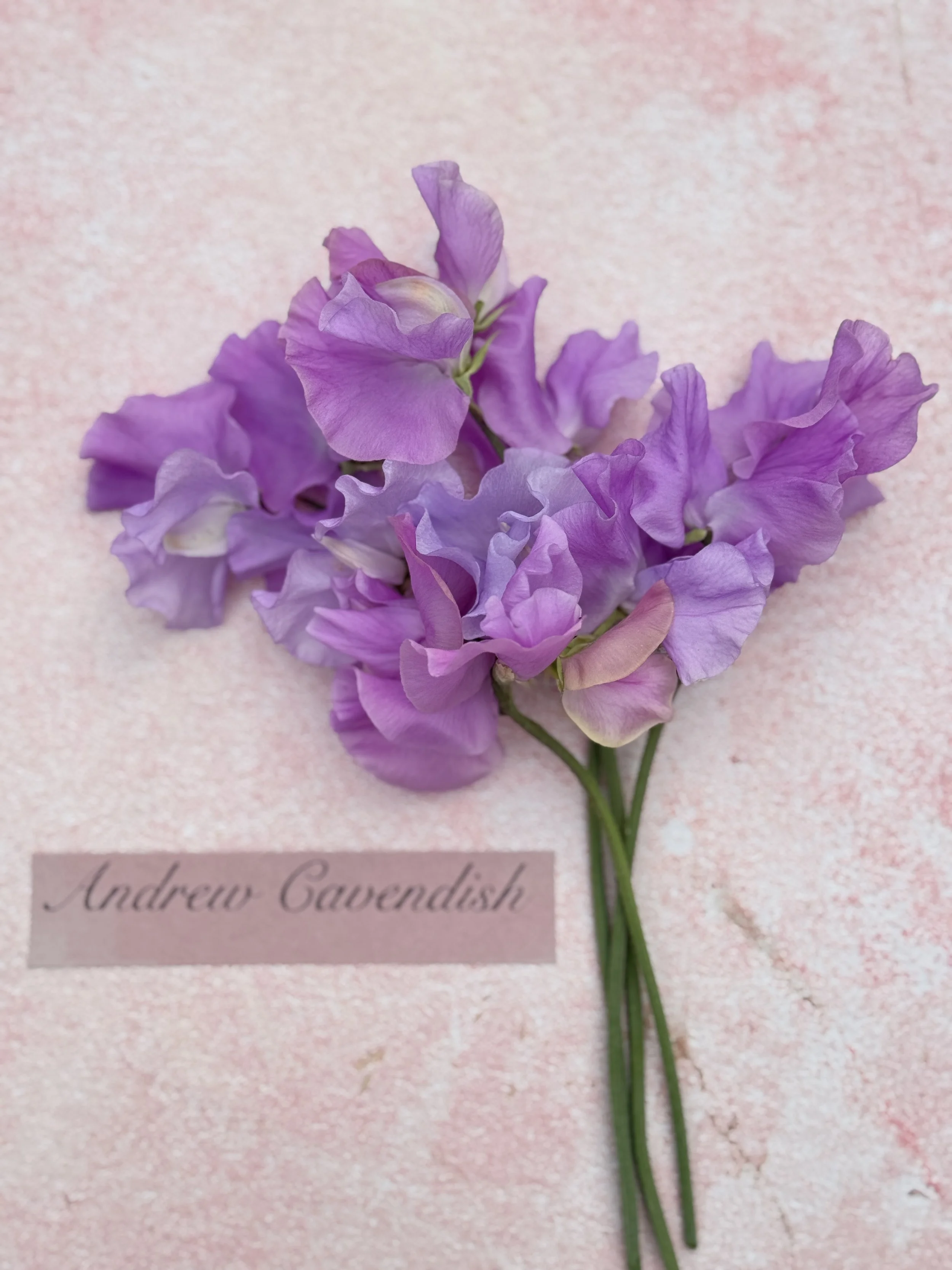 Andrew Cavendish