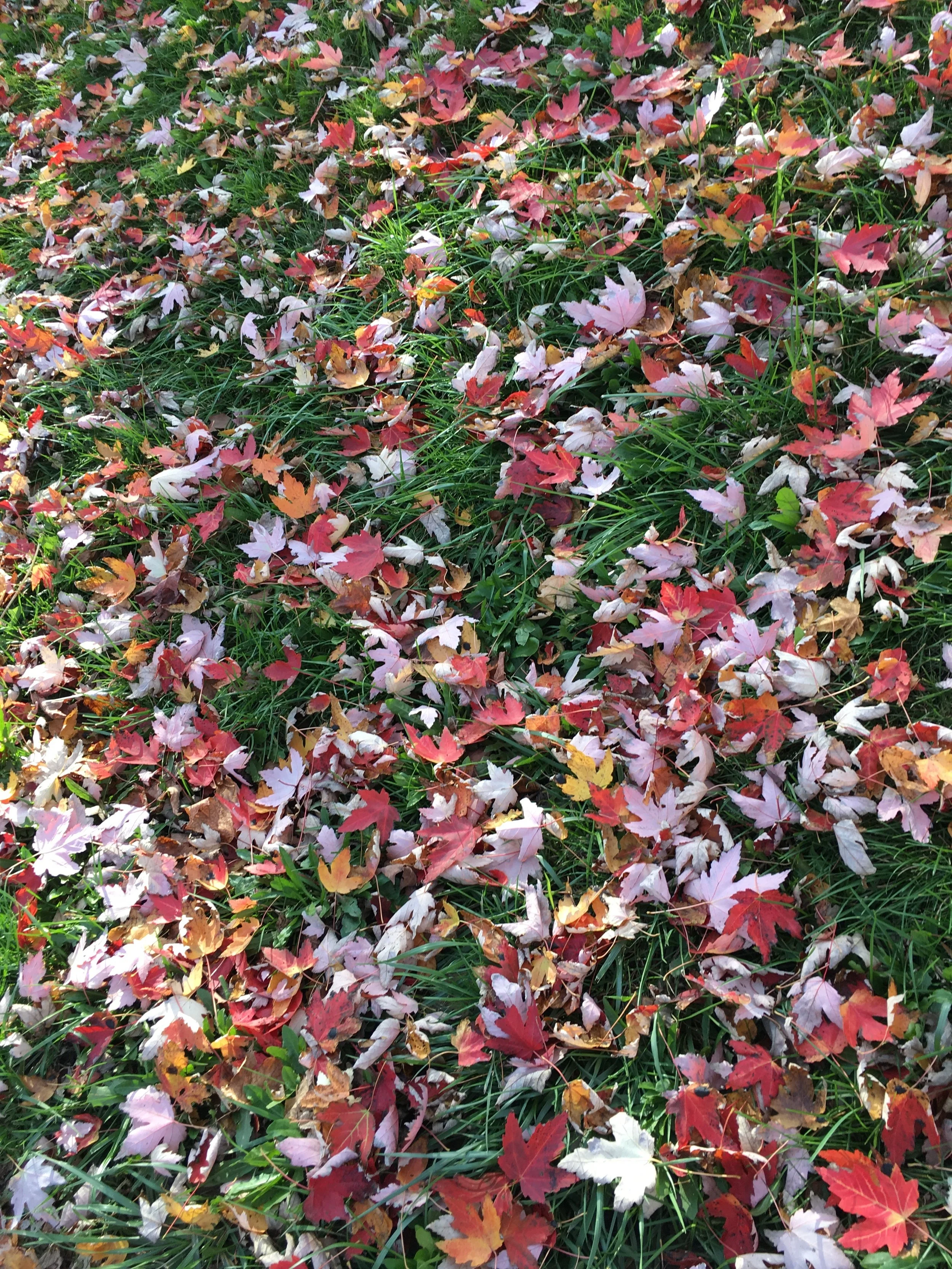 National Suicide Prevention Awareness Month